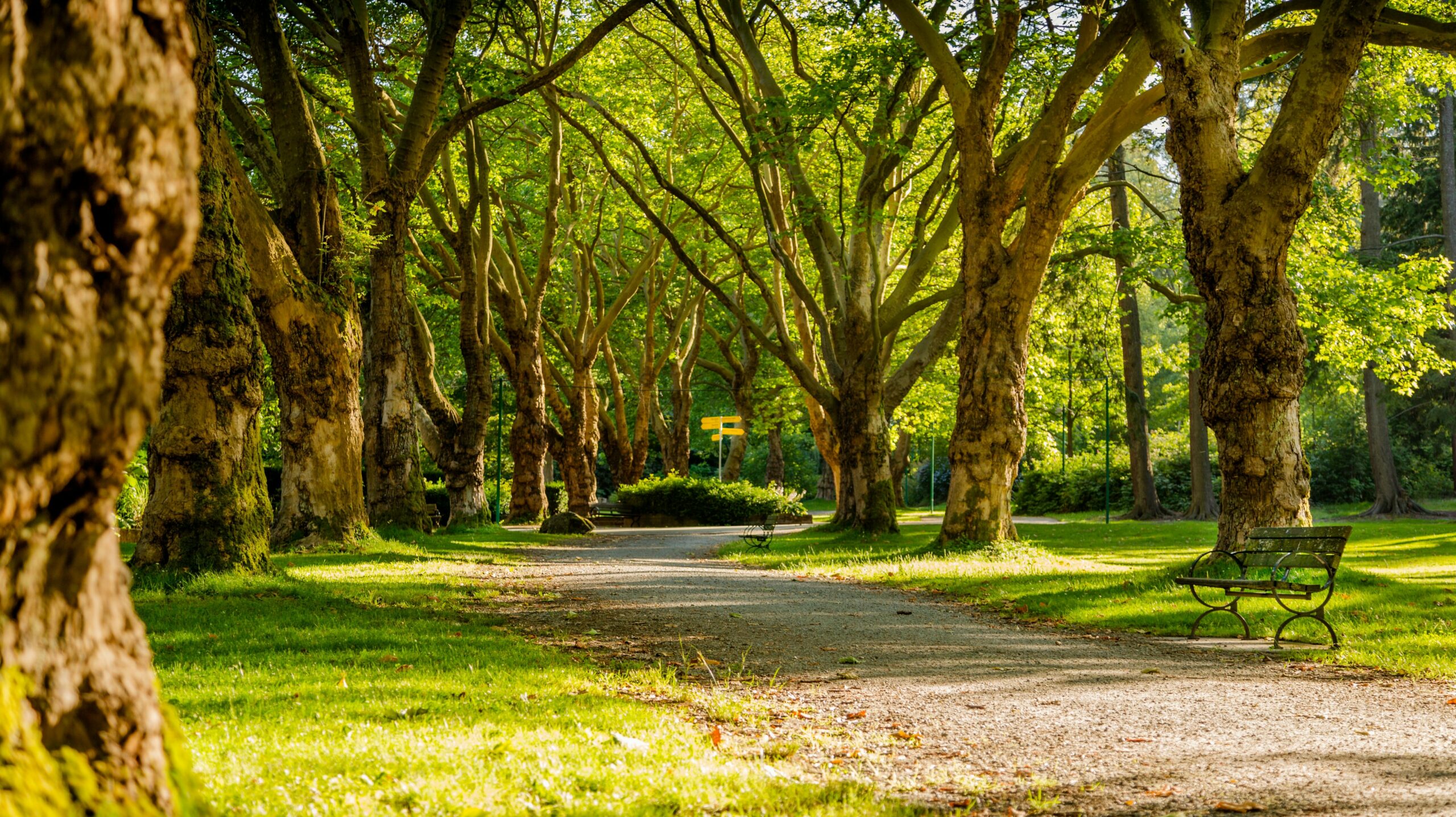park anglický příměstský tábor Pardubice